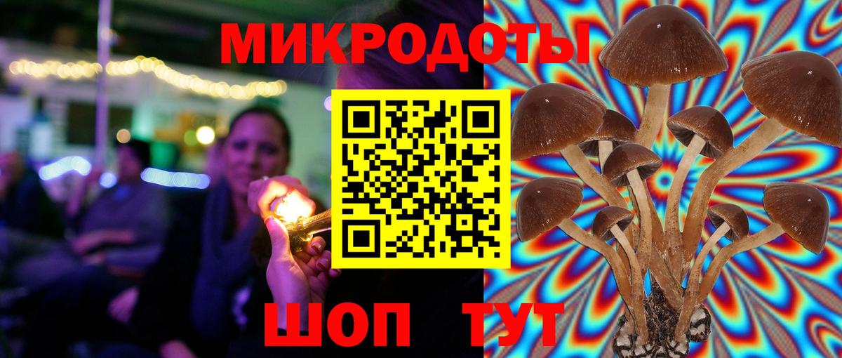 Псилоцибиновые грибы Psilocybe  Вход с VPN  Шали  Псилоцибиновые грибы прущие грибы 